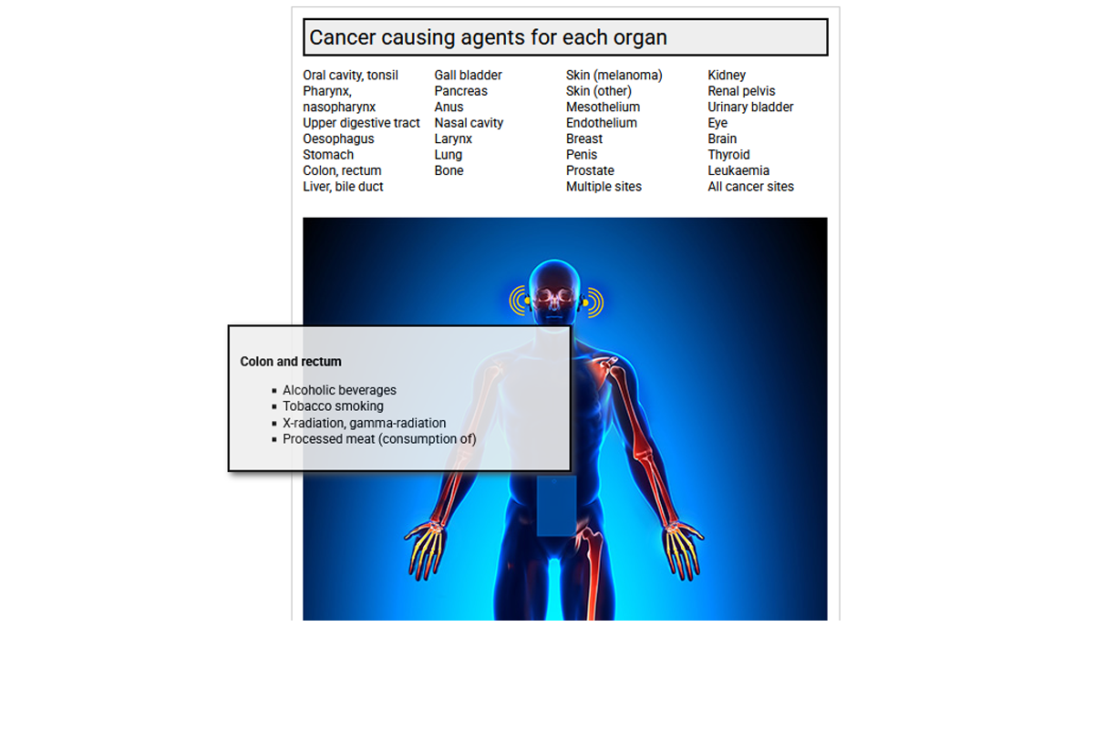 Cancer Causing Agents - Colon and Rectum